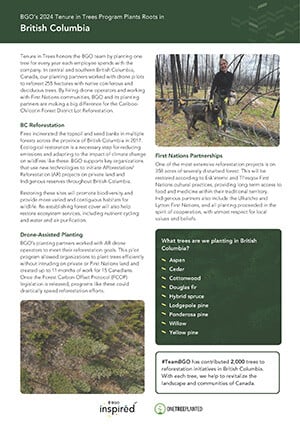 bgo-2024-tenure-in-trees-british-columbia