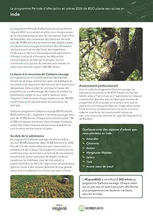 bgo-2024-tenure-in-trees-india-fr