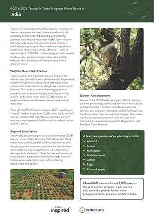 bgo-2024-tenure-in-trees-india