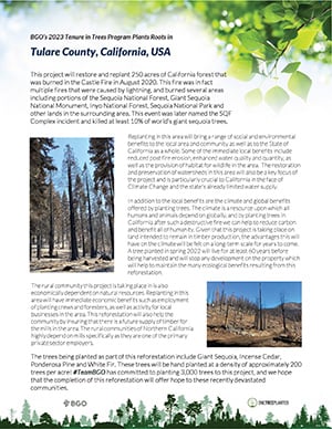 thumb-onetreeplanted-article-california