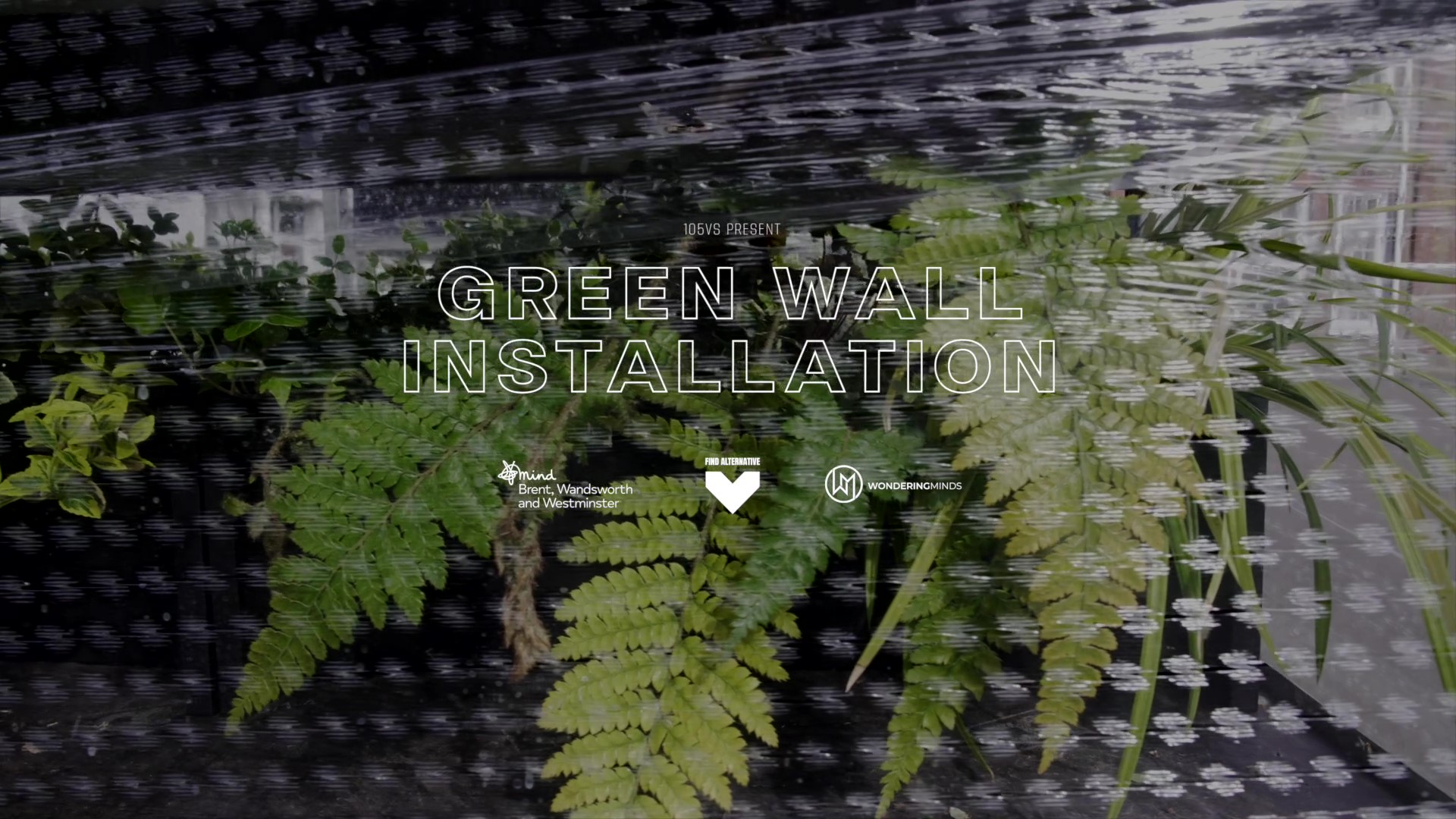 Wondering Minds - Grey Coat Hospital School's Green Wall