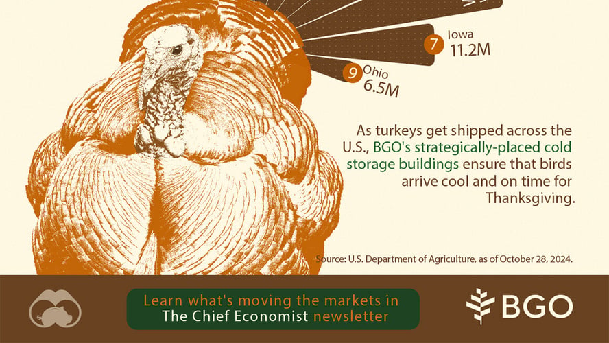 Visual Capitalist : Les États américains produisant le plus de dindes en 2024