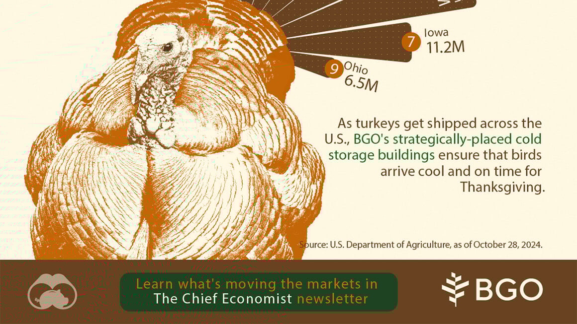 Visual Capitalist : Les États américains produisant le plus de dindes en 2024