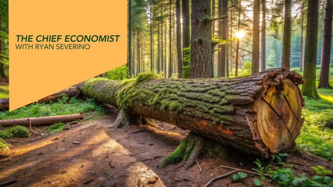 The Chief Economist: If A Tree Falls In An Economy…